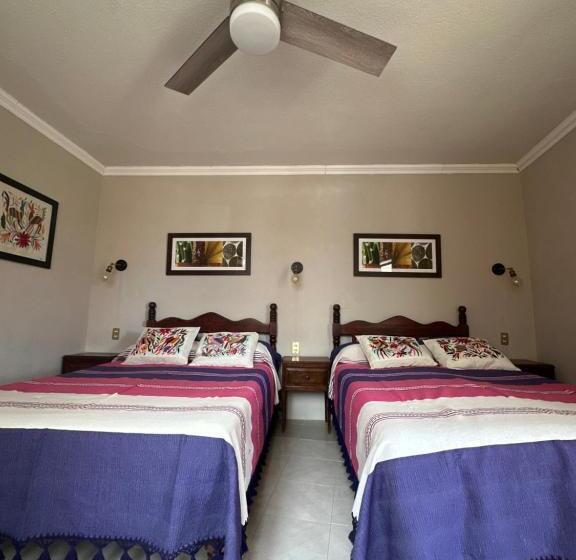 اتاق استاندارد چهار تخته, Casa Tecolote