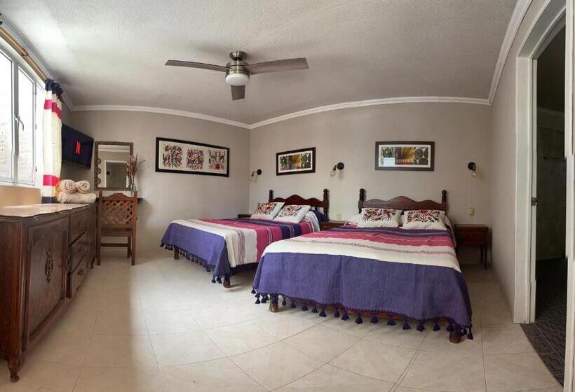 اتاق استاندارد چهار تخته, Casa Tecolote