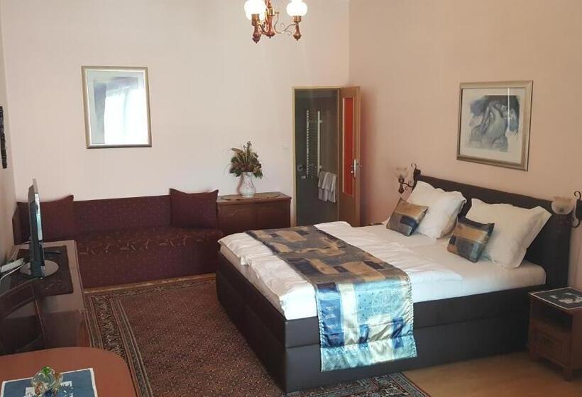 豪华房间, Penzion Piano & Apartment Sokolov