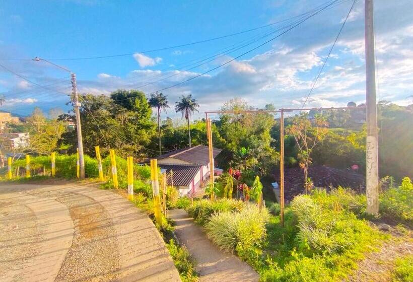 Семейный Номер, Hostal Casa Artvelez