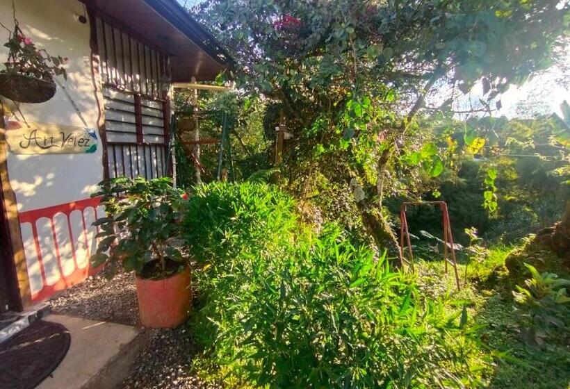 Номер Стандарт, Hostal Casa Artvelez