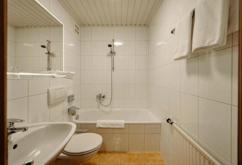 Апартаменты 1 Спальня, Theresi Appartements