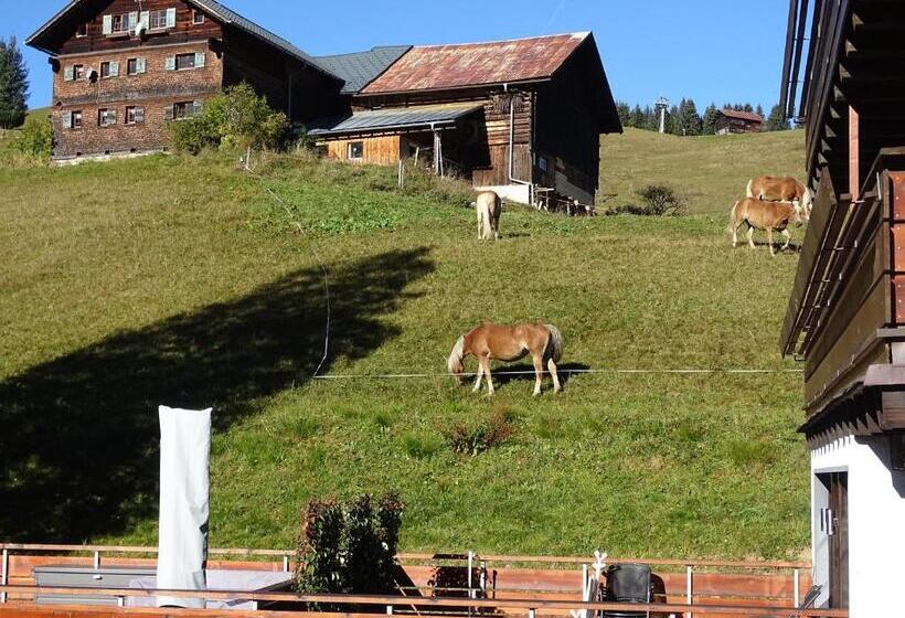 Номер Стандарт Вид на Горы, Der Berghof