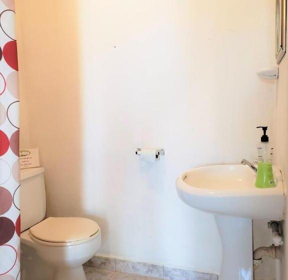 Студия Стандарт Вид на Море, Beach Side Condos Caye Caulker By Ccvh
