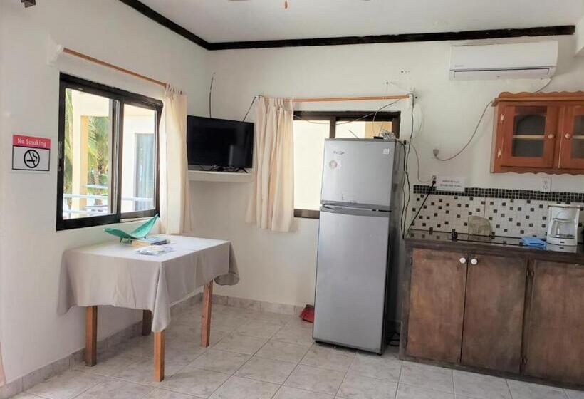 Студия Стандарт Вид на Море, Beach Side Condos Caye Caulker By Ccvh