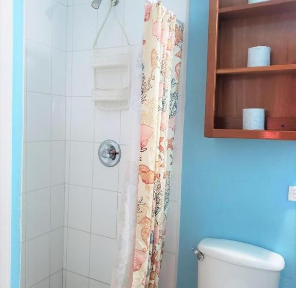 Студио Стандарт с Террасой, Beach Side Condos Caye Caulker By Ccvh