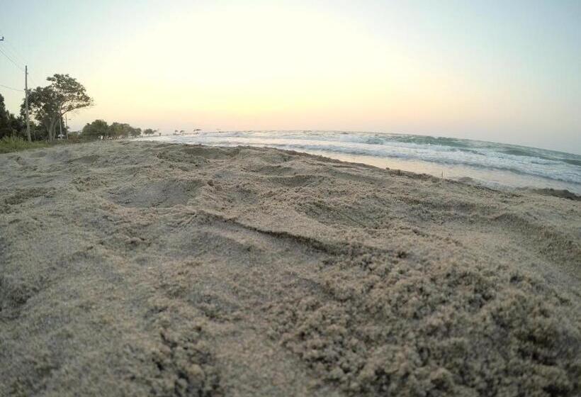 استودیوی استاندارد, Camino Palmero Coveñas