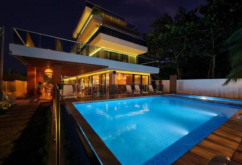 اتاق عادی, Camino Palmero Coveñas