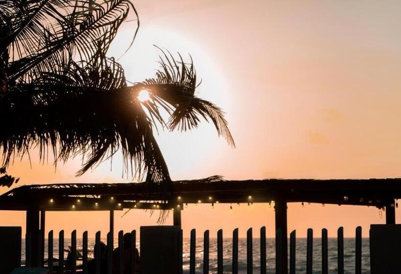 استودیوی استاندارد, Camino Palmero Coveñas