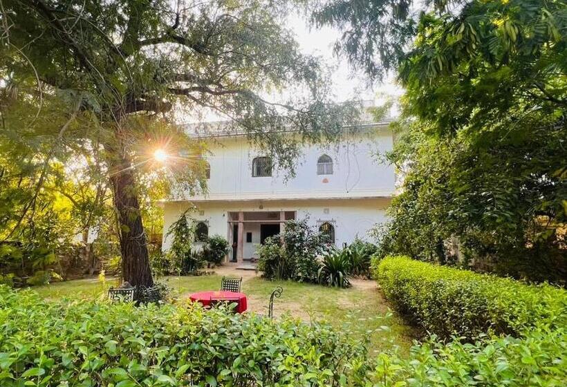 Номер Стандарт, Kawa Guest House
