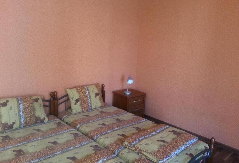 استودیوی استاندارد, Apartment In Zentrum Skandi