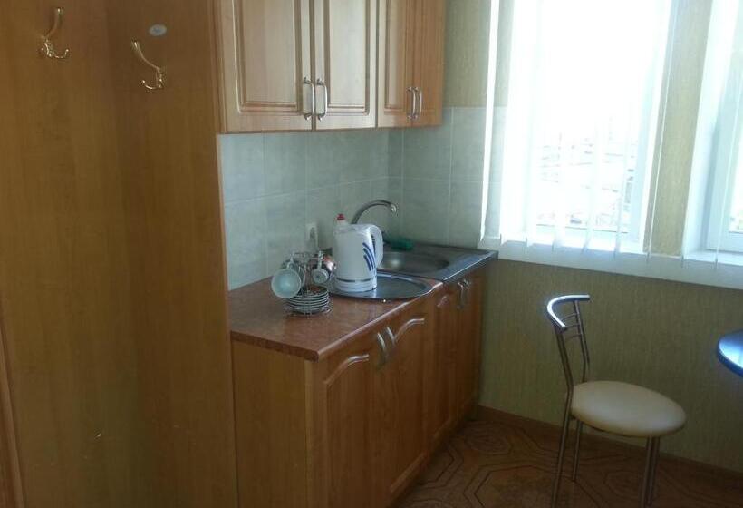 استودیوی استاندارد, Apartment In Zentrum Skandi