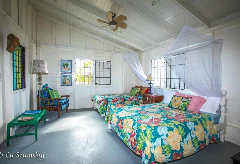 Triple Room Sea View, Veranda View Guesthouse