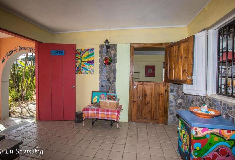 اتاق استاندارد با چشم‌انداز باغ, Veranda View Guesthouse