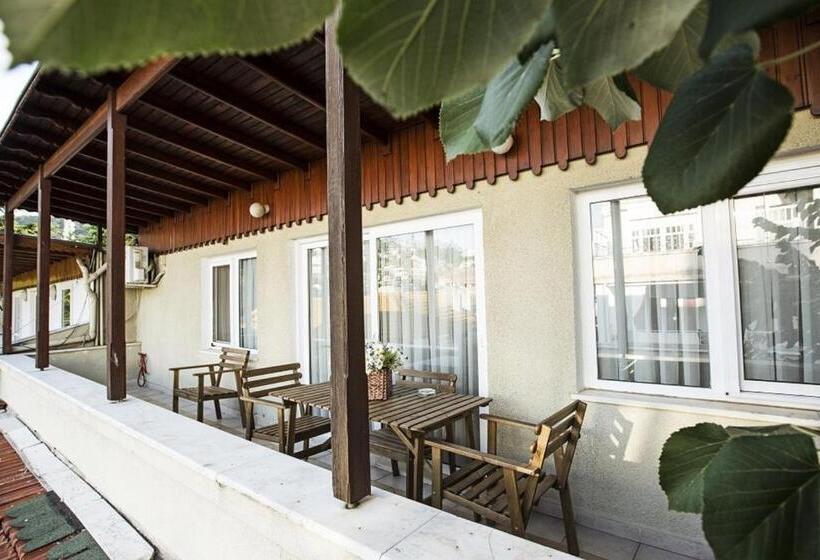 Апартаменты Пентхаус 1 Спальня, Büyükada Apart Hotel   Yeni Apart