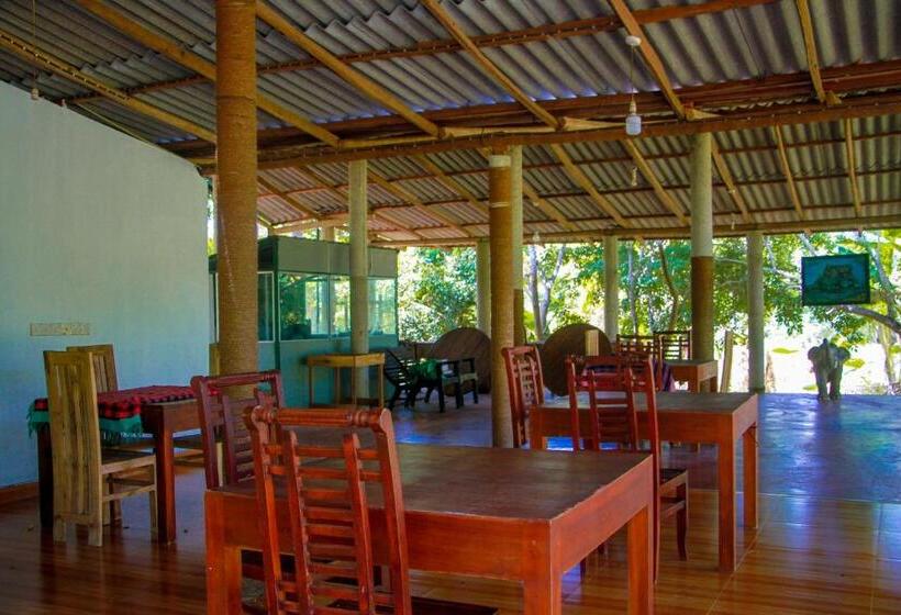 Номер Deluxe с Балконом, Darshani Lodge
