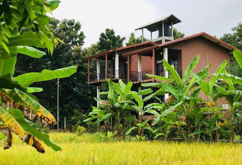 Семейный Номер Вид на Горы, Darshani Lodge