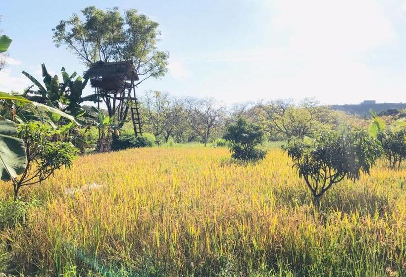 Семейный Номер Вид на Горы, Darshani Lodge