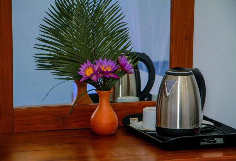 Номер Deluxe с Видом, Darshani Lodge