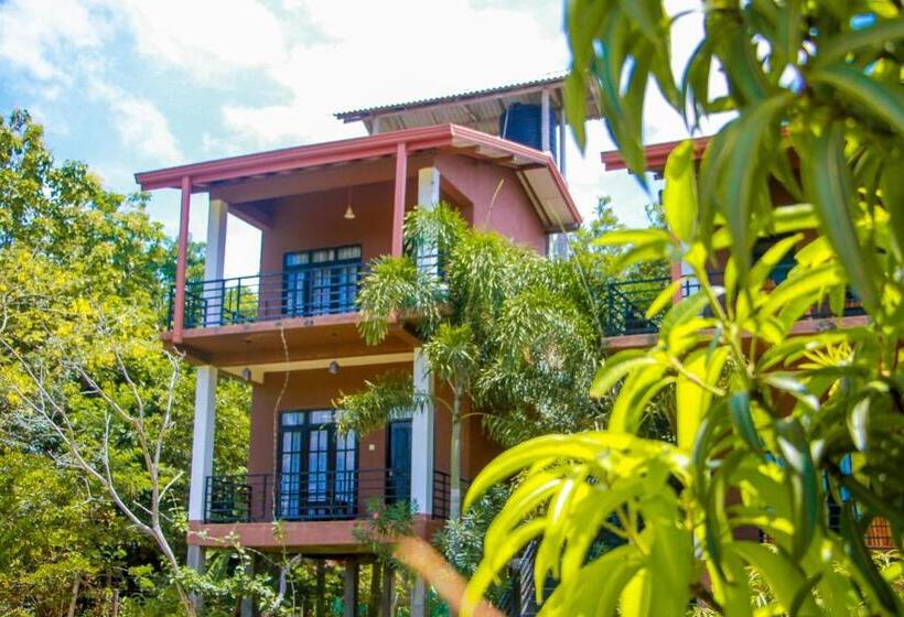 Номер Deluxe с Видом, Darshani Lodge