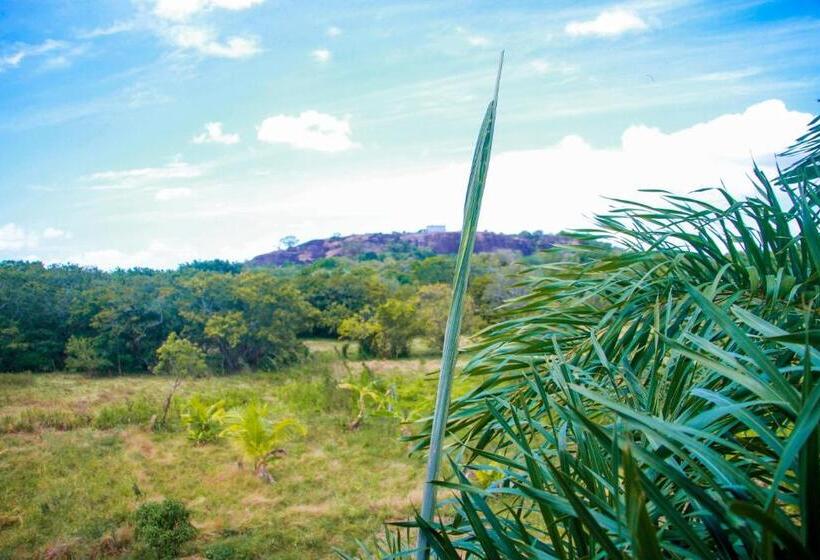 Семейный Номер Вид на Горы, Darshani Lodge