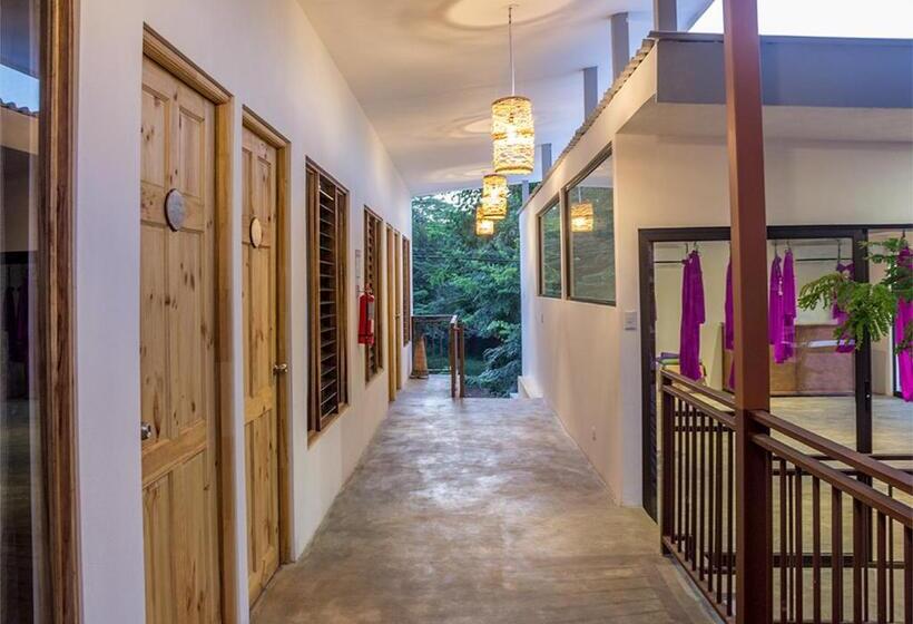 اتاق راحتی, Hostel La Botella De Leche   Tamarindo