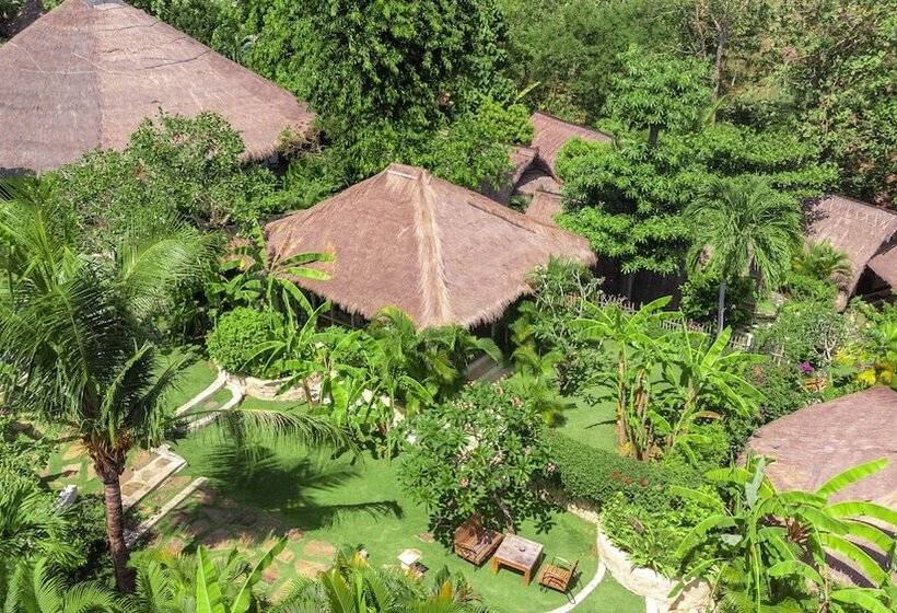 اتاق استاندارد, La Joya Biu Biu Resort