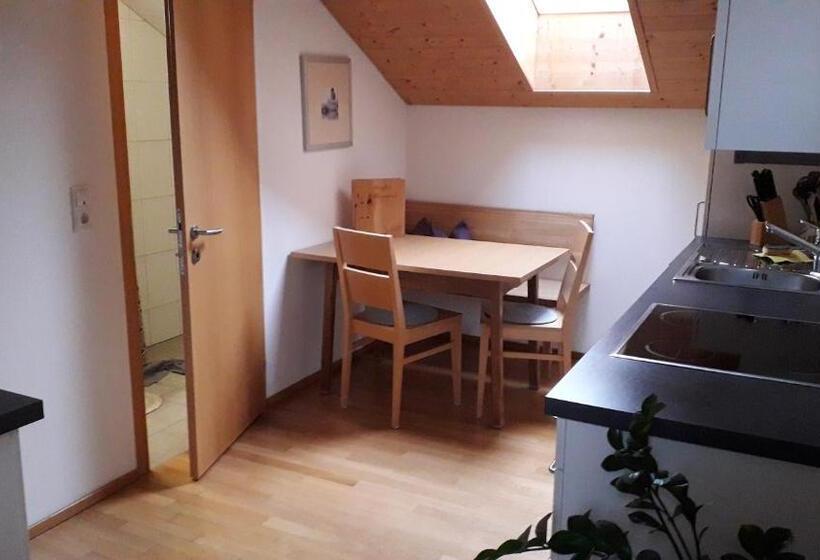 Апартаменты 1 Спальня с Балконом, Haus Hagspiel