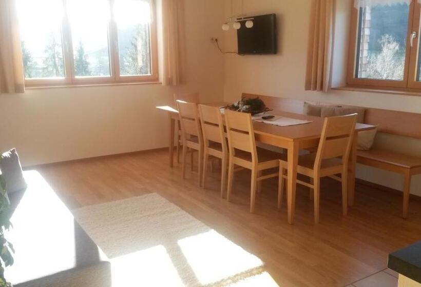 Апартаменты 1 Спальня с Видом, Haus Hagspiel