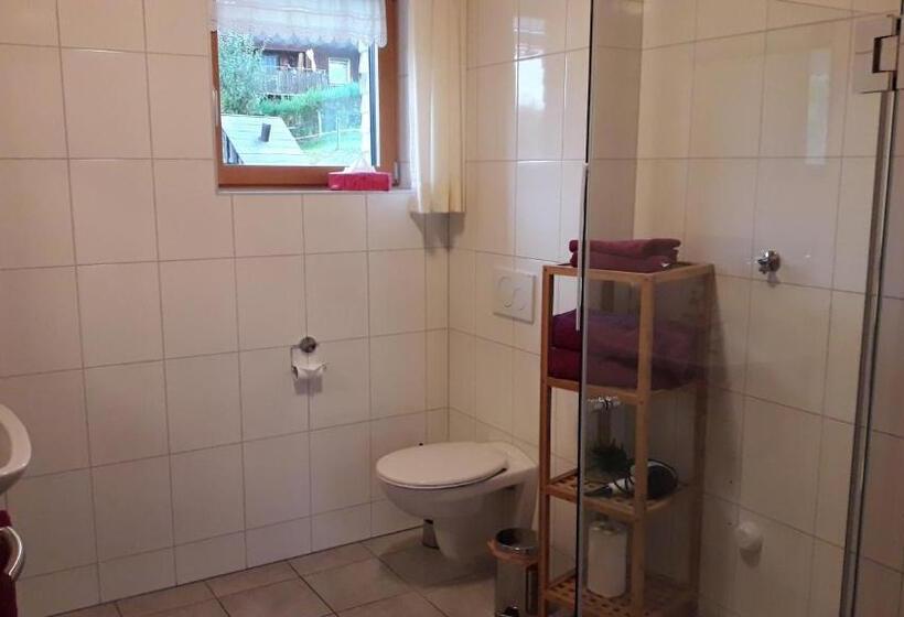 Апартаменты 1 Спальня с Видом, Haus Hagspiel