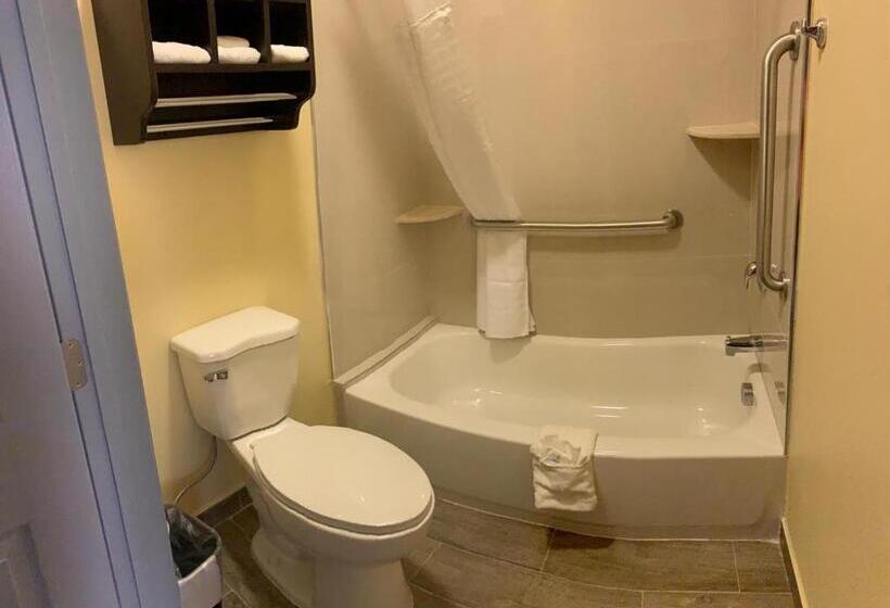 اتاق لوکس با تخت بزرگ, Homestay Inn & Suites Edinburg