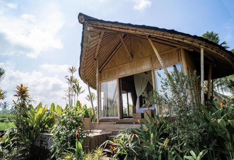 침실 1개 전망 아파트, Padi Bali Retreat
