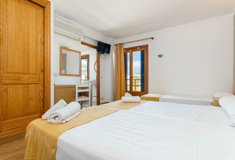 Quarto Triplo Estandar, Bellavista