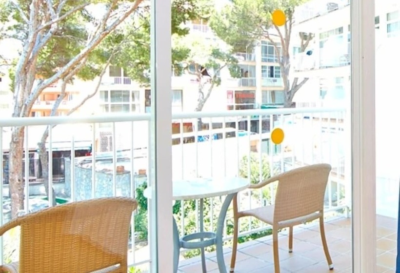 חדר סטנדרט יחיד, Spa Flamboyan   Caribe