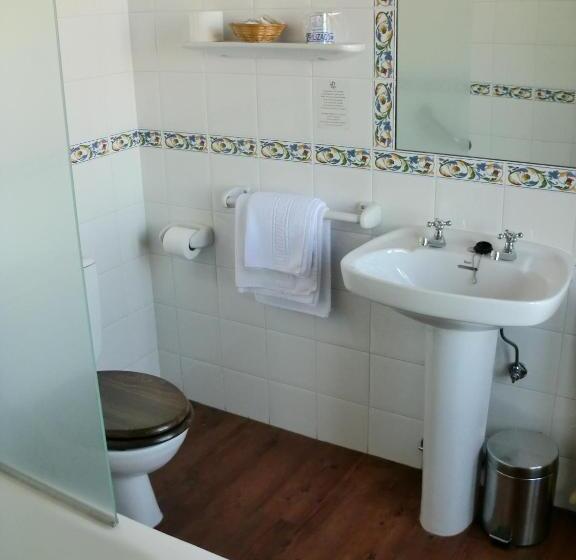 اتاق استاندارد یک نفره, Roma