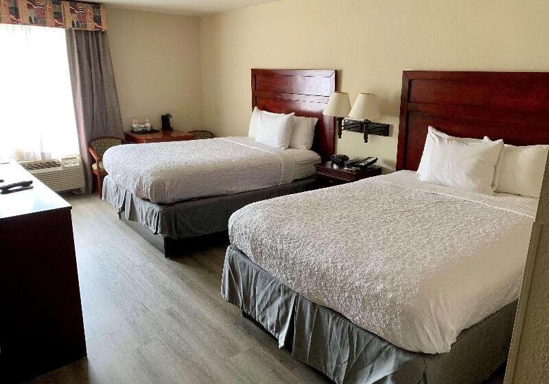スタンダードルーム, Hostal Europa Punico