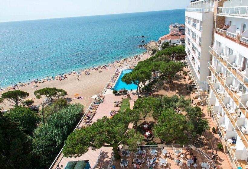 اتاق استاندارد چهار تخته با چشم‌انداز دریا, htop Caleta Palace