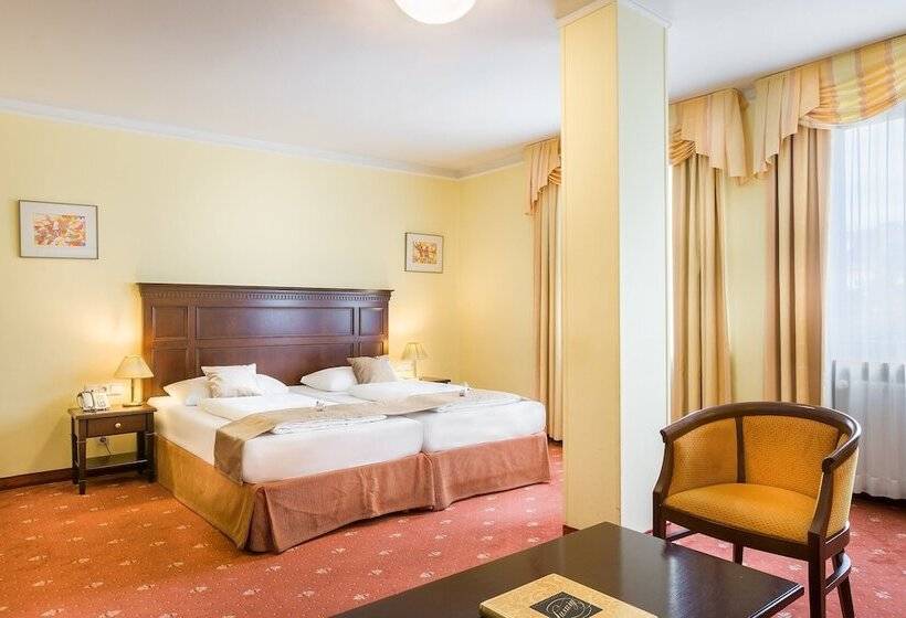 高级大房间, Select Hotel Prinz Eugen Wien