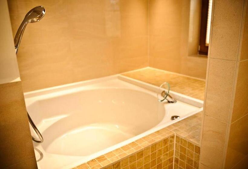 Полулюкс Повышенной Комфортности, Sporthotel Neustift