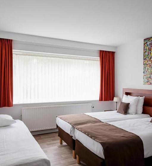 Номер Стандарт, Olympia In Bruges