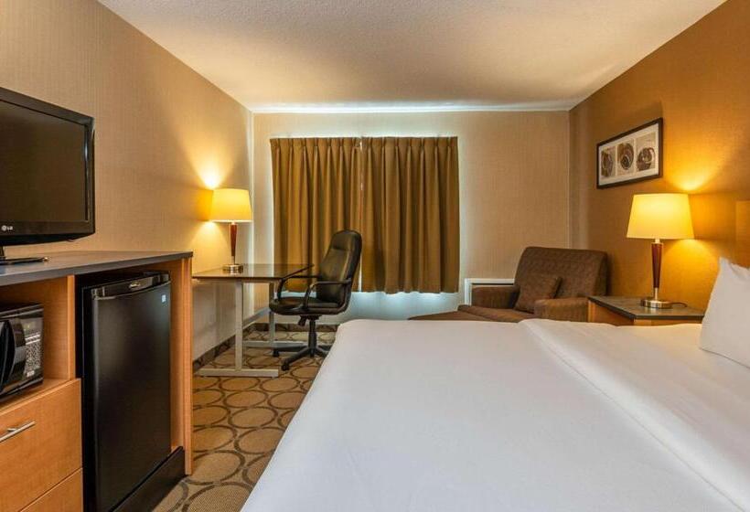 标准间, Comfort Inn