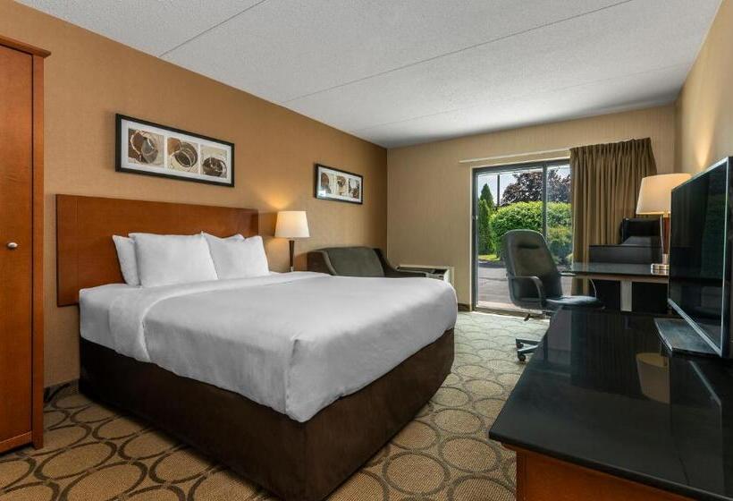 一楼标准间, Comfort Inn