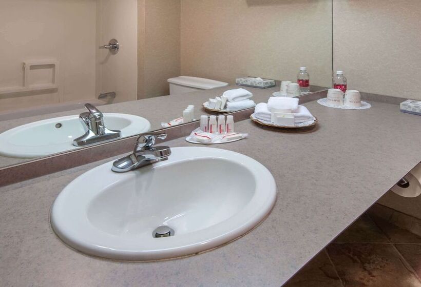 스탠다드 룸 더블 침대 2개, Ramada Plaza By Wyndham Calgary Downtown