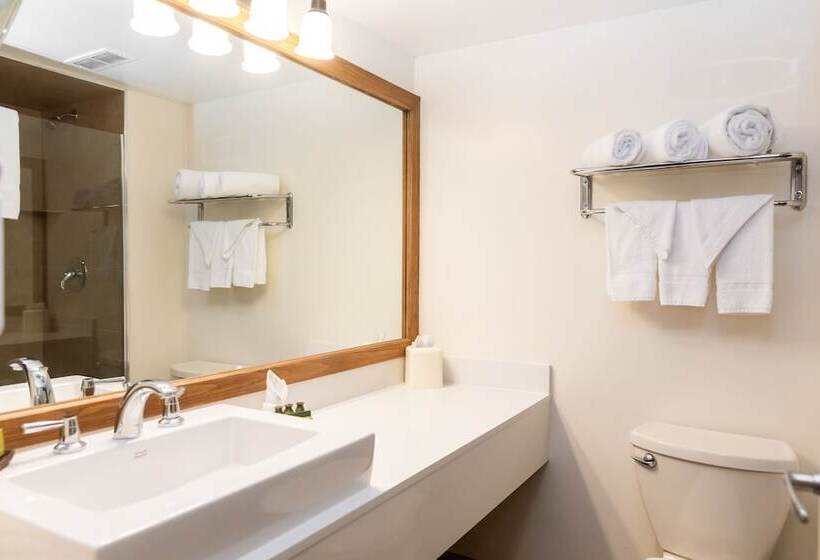 Номер Стандарт, Hidden Valley Resort, Ascend Hotel Collection