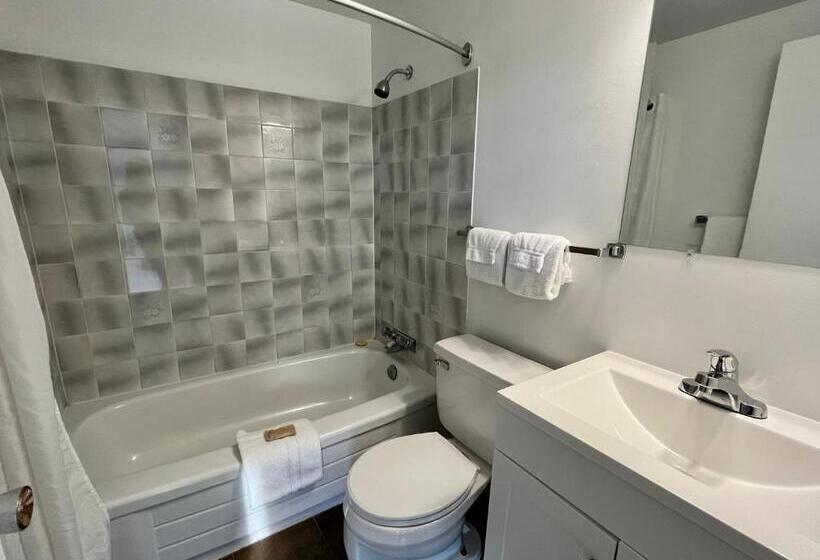 سوئیت با تخت بزرگ, Anavada Inn & Suites  Prince George