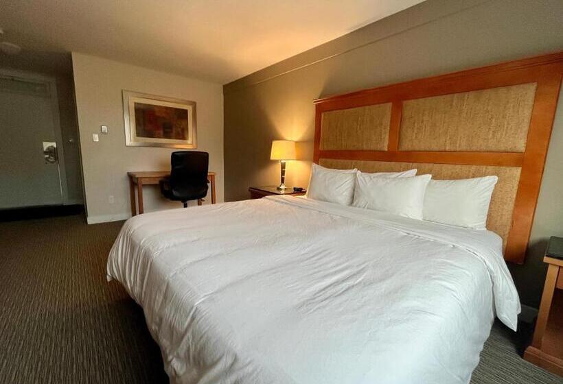 سوئیت با تخت بزرگ, Anavada Inn & Suites  Prince George