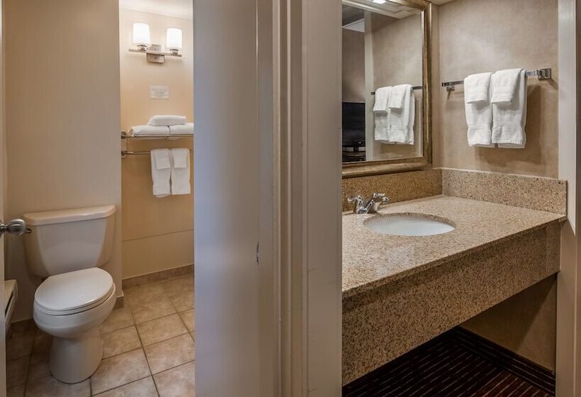 ２ダブルベッドのスタンダードルーム, Best Western Plus Cairn Croft