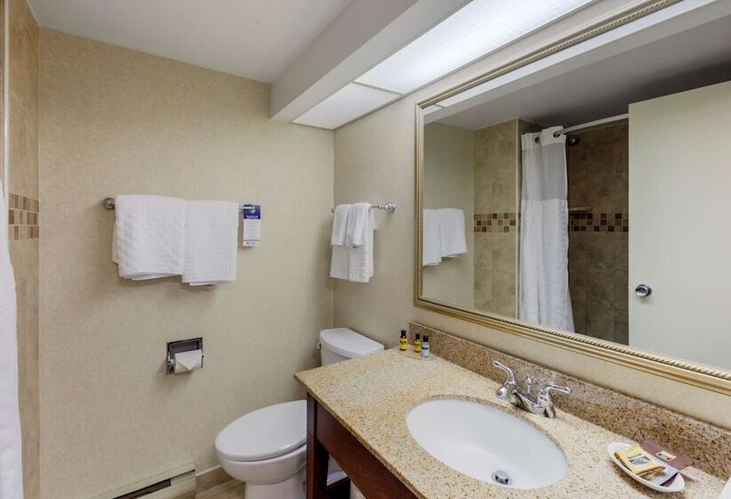 ２ダブルベッドのスタンダードルーム, Best Western Plus Otonabee Inn