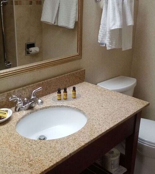 스탠다드 룸 더블 침대, Best Western Plus Otonabee Inn