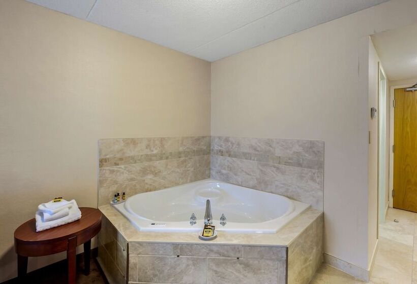 ダブルベッドスタンダードルーム, Best Western Plus Otonabee Inn